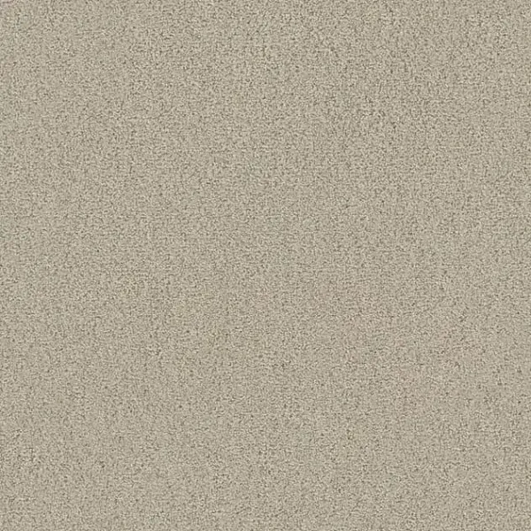 Draufsicht Girloon TWIN Teppichboden Velours 820 Beige, 2/4 m breit